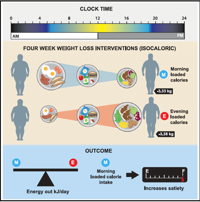 Intermittent Fasting Vs Skipping Breakfast What To Know Evidence Based Muscle 