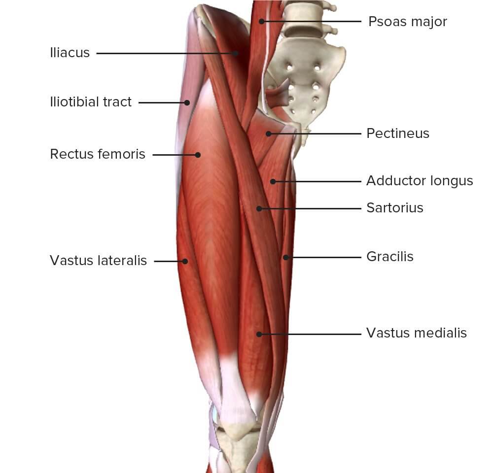 when-to-change-your-workout-for-more-muscle-growth-evidence-based-muscle