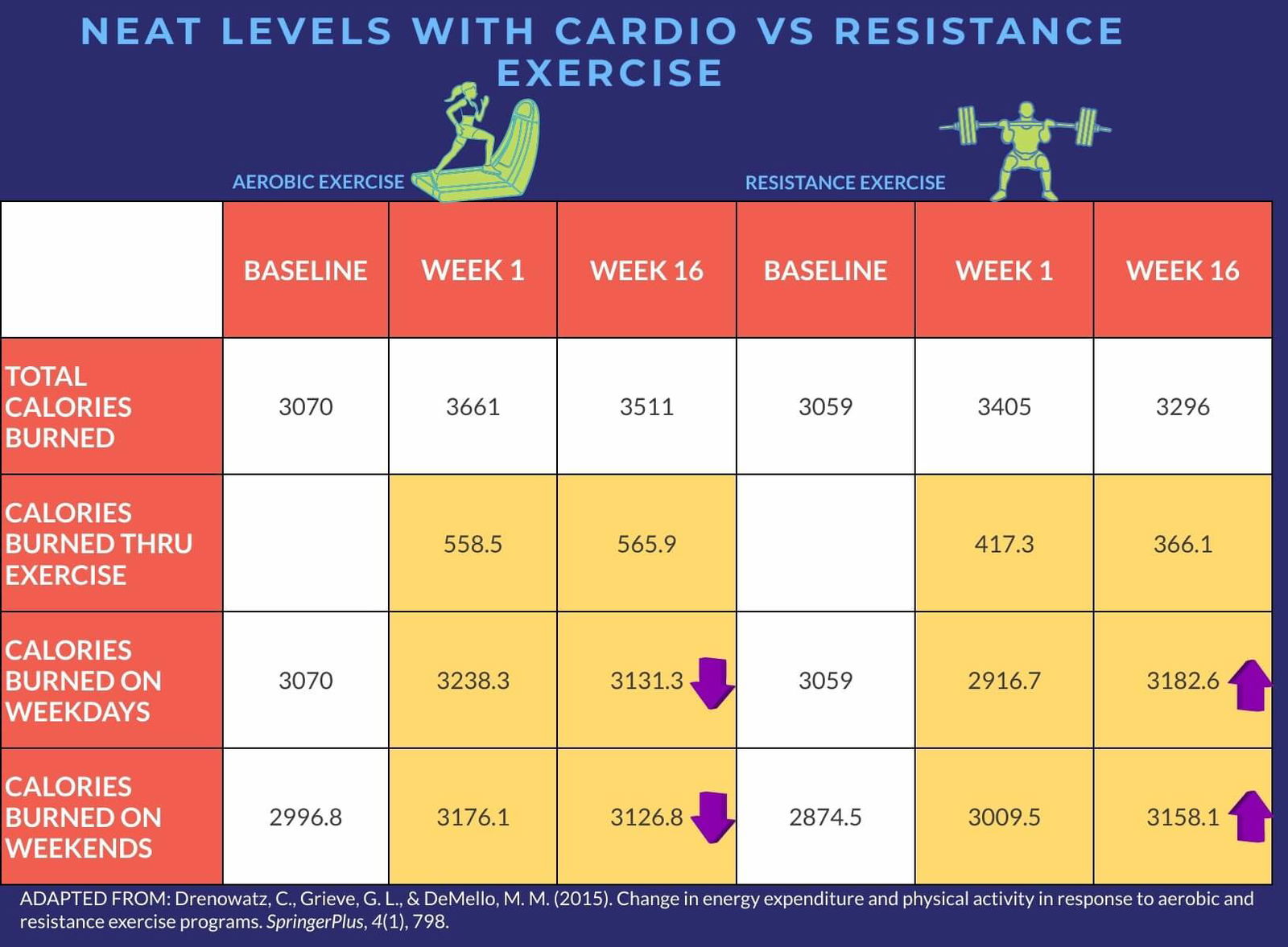 what-workout-burns-the-most-fat-cardio-or-resistance-exercise