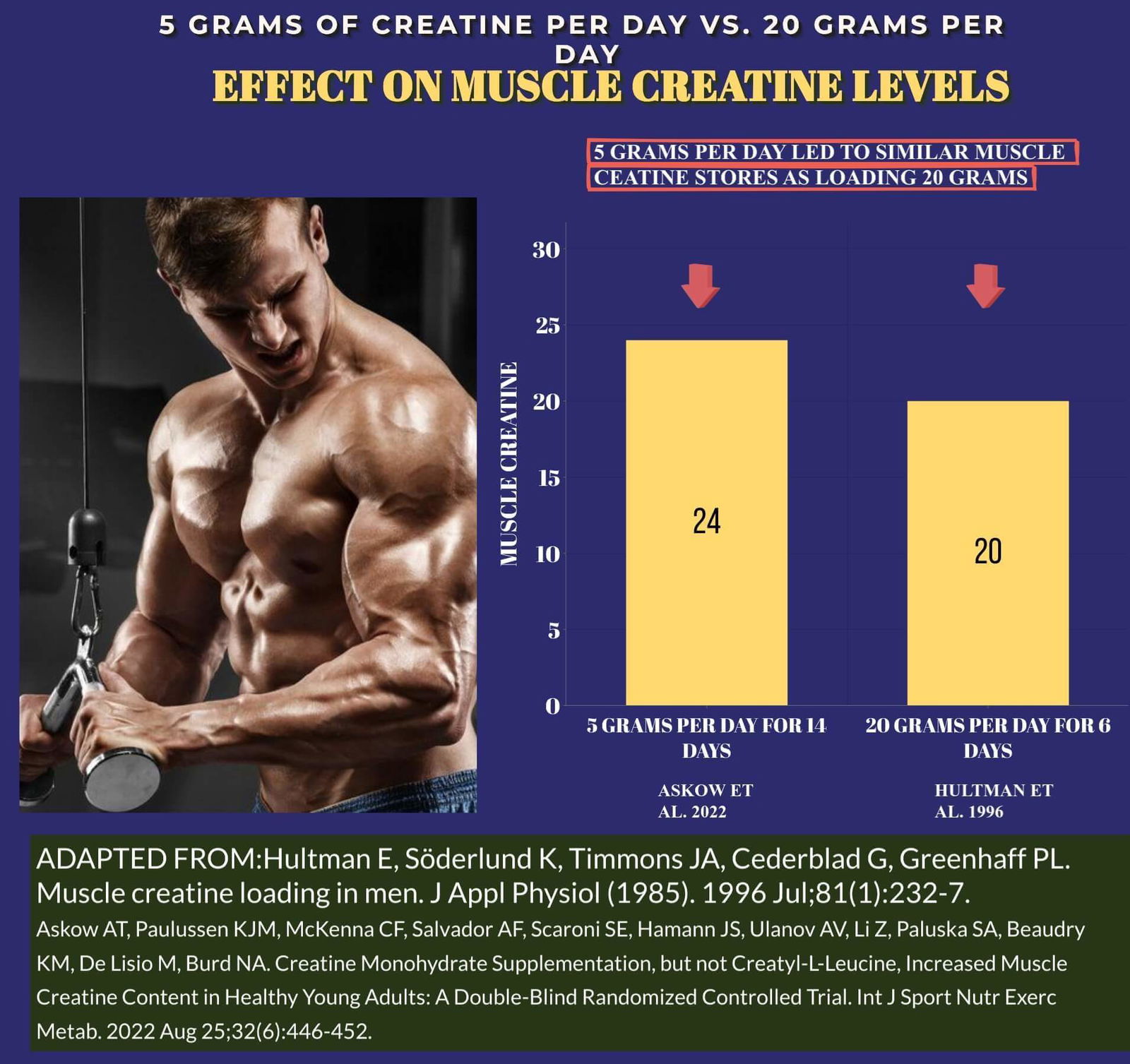 A Guide To Creatine Loading Phase: Is It Necessary? - EVIDENCE BASED MUSCLE