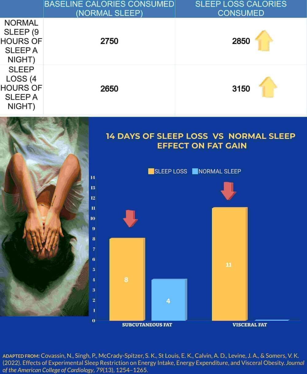 muscle-growth-learn-the-impact-of-sleep-loss-and-how-to-fix-it